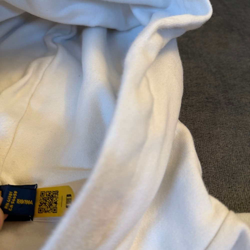 Polo by Ralph Lauren Multicolor Hoodie - Picture 5 of 14